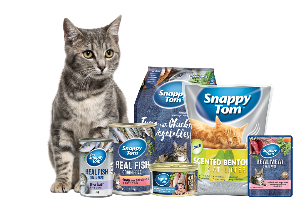 Baby snappy tom Clearance